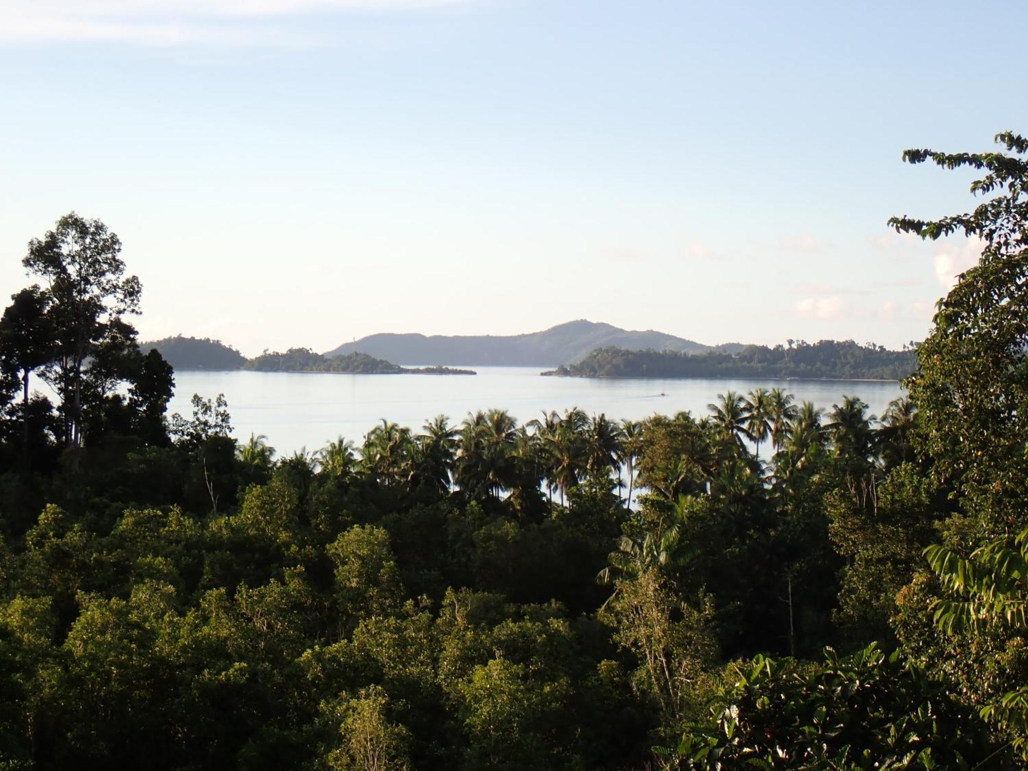 Tentstar Eco Resort San Vicente  Luaran gambar